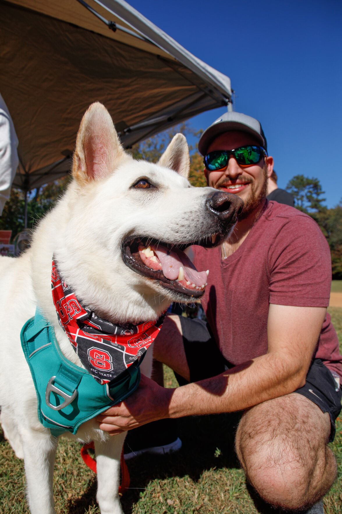 WSM Dogmore52 102322.jpg